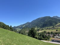 Sparenmoos von Zweisimmen