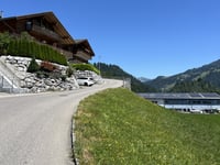 Sparenmoos von Zweisimmen