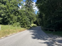 Route de la Cascade from Châtel St. Denis via Route du Moléson