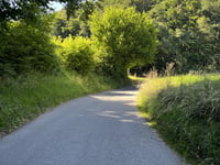 Chemin du Bois-de-Ruz