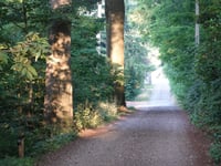 Hoge Dreef desde Bergom