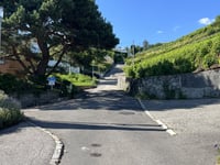 Savigny von Lutry