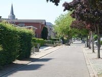 Heistse Berg über Palmbosstraat