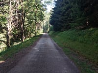 Col du Sapey vanuit Saint Julien Montdenis