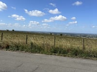 Coldharbour Lane von Wye