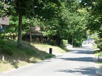 Beerzelberg via Hallaardreef