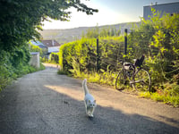 Rue de la Chasse