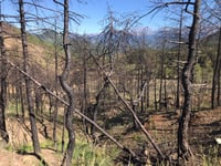 Alto de Los Molinos über Laspuña