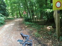 Parkweg von De Steeg