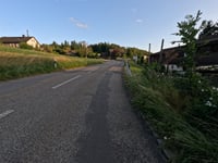 Linden from Zofingen