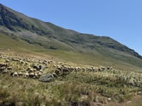 Col de Sarenne da Alpe d'Huez
