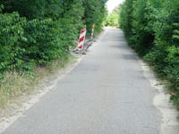 Bosbergen z Herentals