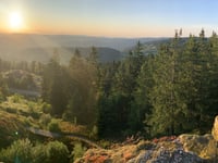 Col des Hayes von Saulxures sur Moselotte über Route du droit du Rupt de Bâmont