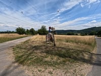 Wiesen am Hirtenborn from Niederheimbach