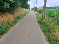 Oudebaan von Rillaar
