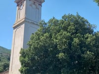 Munacaghja da Sisco
