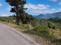 Col de l'Homme vanuit Crupies