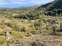 Coll des Pescadors da Artà