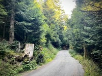 Col du Sapey from Hermillon