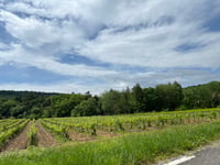 Route de Valbonne von Saint-Laurent-de-Carnols