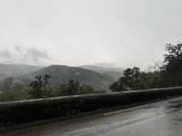 Bruguier von Castagnette