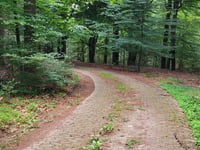 Middenweg