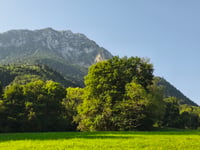 Col des Prés da Pont d'Escorchevel