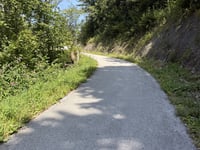 Steinerne Stiege von Söll