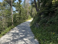 Steinerne Stiege von Söll