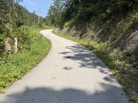Steinerne Stiege von Söll