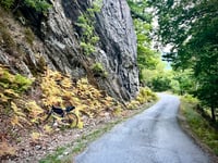 Route de Fresche da Saint-Rémy de Maurienne