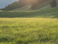 Marterle desde Witschdorf