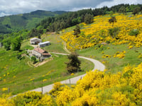 Col de Brun z Labatie d'Andaure