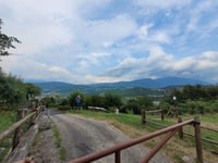 Pigno von Bardolino