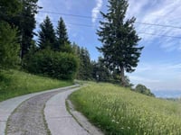 Farneralp da Faltigberg