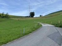 Farneralp da Faltigberg