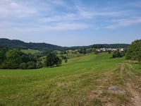 Birkenschlag von Grosssachsen über Rittenweier