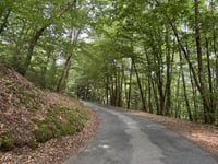 Col de Laléger von Reix