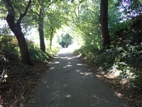 Oude Misweg via Julianastraat