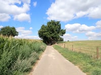 Haanweg von Eygelshoven