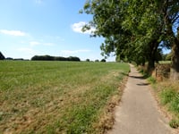 Hondsrug von Beitel
