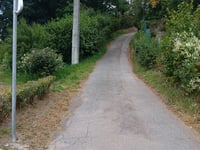 Trois Arbres da Ham-sur-Heure