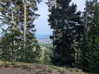 Mont Sainte Odile from Ottrott via Saint Nabor