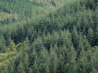 Waun Llefenni von Aberllefenni
