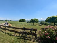 Kummerberg vanuit Greiveldange
