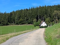 Staufenkopf von Schmelze