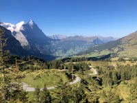 Grosse Scheidegg von Meiringen