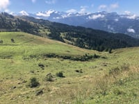 Col de Joux Plane