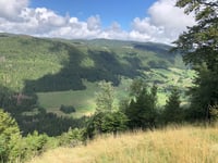 Col de la Faucille