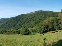 La Blonnière z Dingy-Saint-Clair